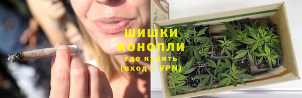 прущие грибы Нефтегорск