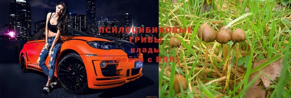 прущие грибы Нефтегорск