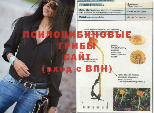 соль ск Навашино