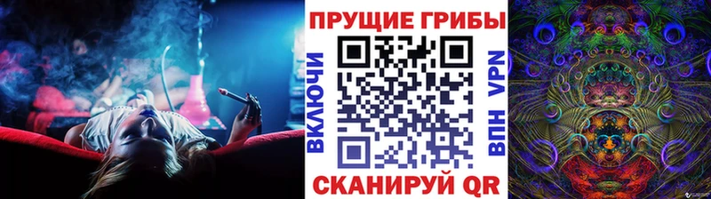 Галлюциногенные грибы Cubensis  мега маркетплейс  Дмитриев 